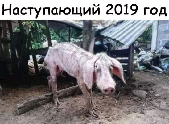 1014374870_.png.c3c6daf4c938af3f0fbc114b309fde0c.png