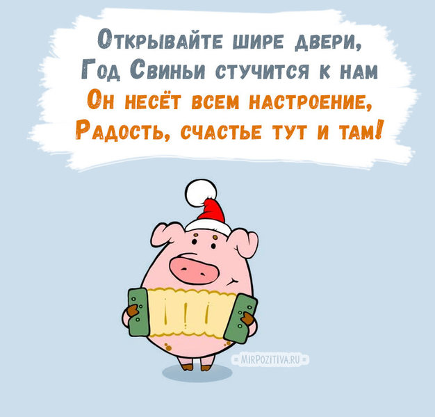 1532331788_001svinja.jpg