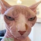 _beshenuy_