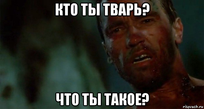 image.png.64ef102a3dd049d409a3e0360b3b49a5.png