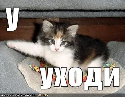 image.png.ed72d29923d765e8ee2bc018413a5673.png