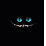 MopR4ek