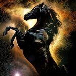 Black_Mustang