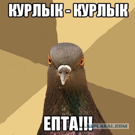 12435939.jpg.ee88b45892ac4341205c4f0102eff95d.jpg