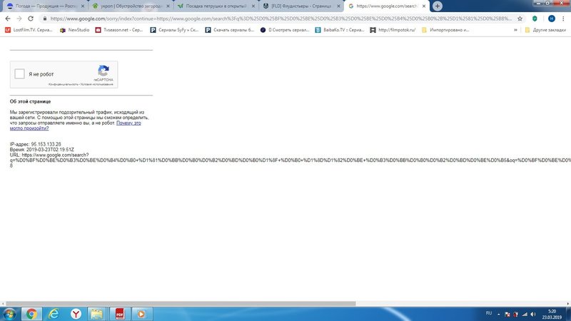 Новый точечный рисунок (2).jpg