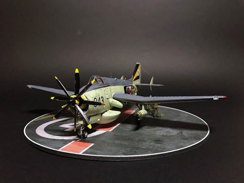 Gannet10.jpg