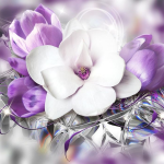 RenamedUser_17673692