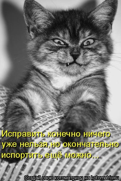 S6.jpg.045bb1ed9350a8f9afe6393bb2d7ccf5.jpg