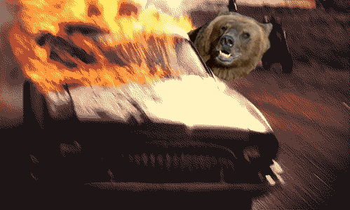 13532556077583.gif.aa0840a192b89900a39d086ada3b0f85.gif