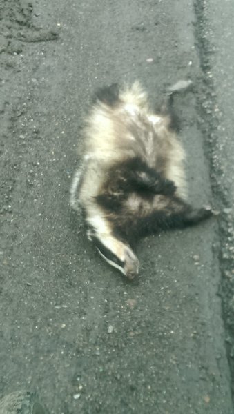 IMAG0288.jpg
