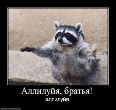 image.jpeg.dfe3e7ad7e923a66dabe3dccef1c38b3.jpeg