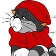 KOT__MOTPOCKNH