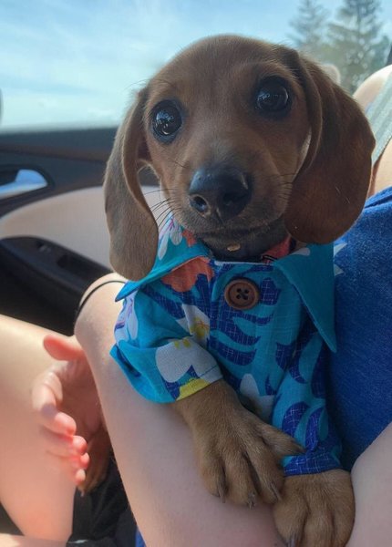 SAVE_20190617_165545.jpeg