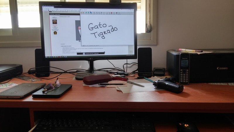 20190716_HDR.thumb.jpg.7559136f93f858112ff49372ffc7c209.jpg