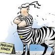 KLOTZER