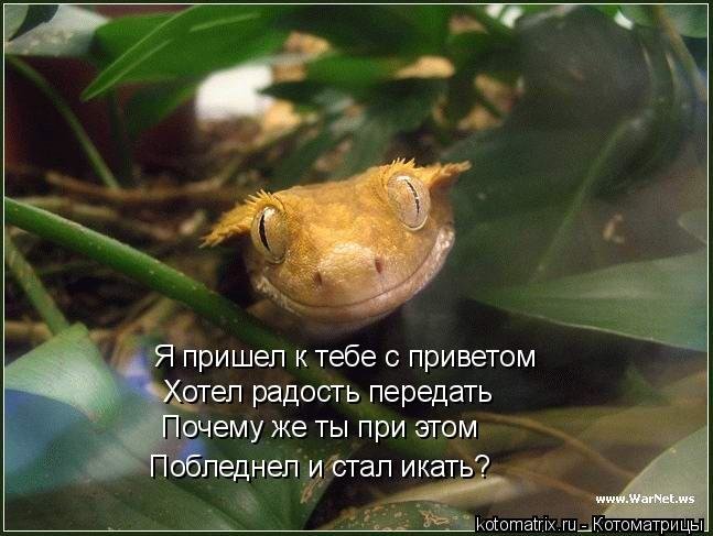 1031279.jpg.42048a2b543d2b8c45717284009afd08.jpg