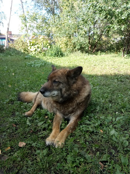 PHOTO_20190921_143915.thumb.jpg.9069f82ff8541bb17c757ee90ee7716f.jpg