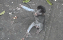 img5627435c2ed03.gif.959df9b7227719d4276261cea4797864.gif