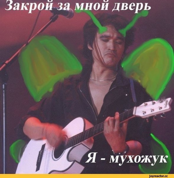 anon-ищу-тебя-скрин-Вк-1831849.jpeg