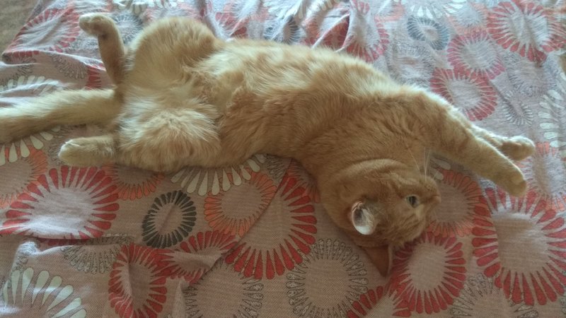 IMG-20190628-WA0002.jpeg