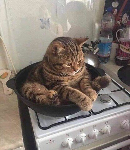 image.jpeg.acffeb3a08c5fd25ee84b15a78632321.jpeg