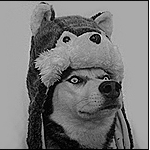 IZHFUN
