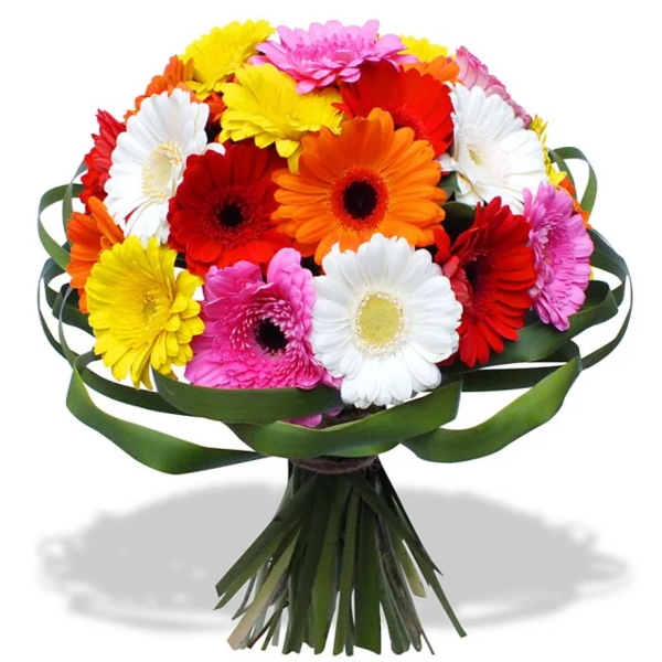 image.thumb.png.5c7acd95a24945ad0e71ba9382f3c8c3.png