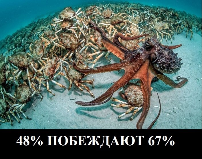 crab_3.jpg.bb8a33469f69f2e6ff996ea46a213eed.jpg