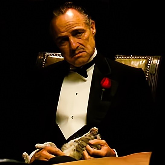 the-godfather-marlon-brando.jpg.d2b638667b9155f12b225f4a78ef277f.jpg