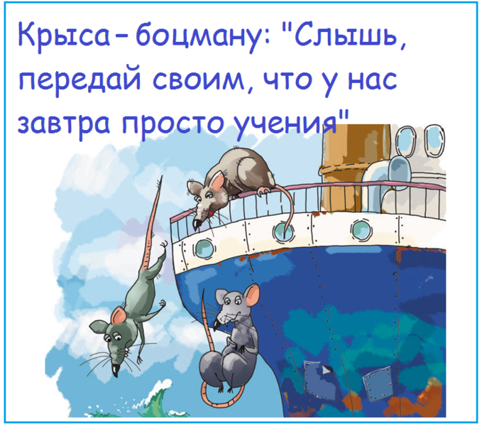 24-krysy.png