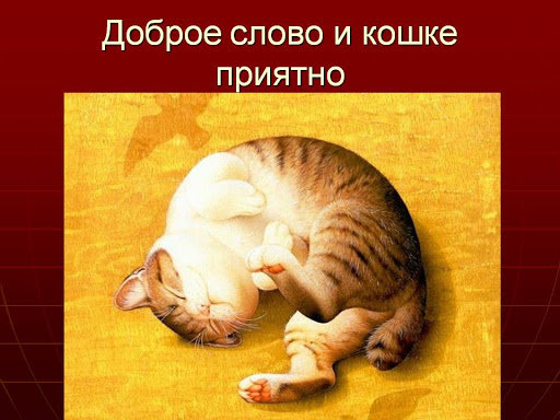 unnamed.jpg.6263385ebb63d554df34ba6e6bc5e009.jpg