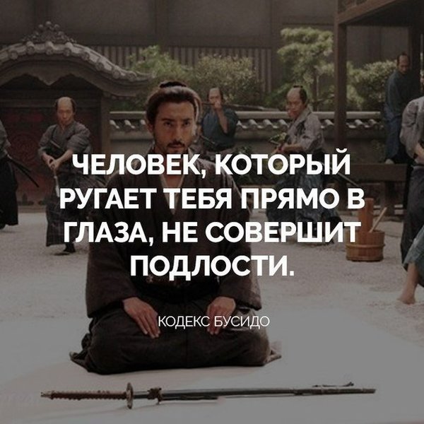2737342812 буши.jpg