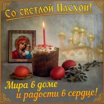 247862890-s-paa0048.jpg.5444a81466e0927632b7d97945faf2c2.jpg