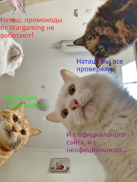 наташа коДы.png