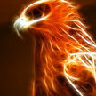 FlameBirdy