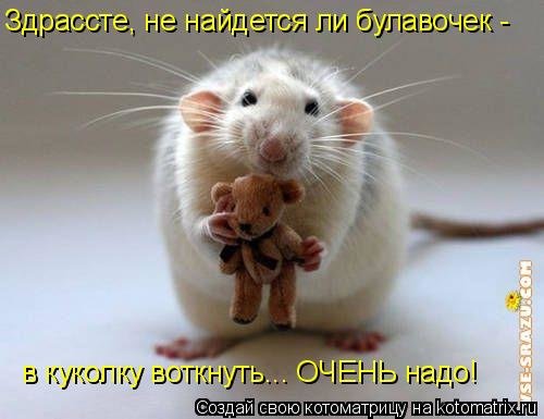 v4.jpg.067f43a3b69c512e4ee51e11b686975e.jpg