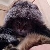 Snussmumrick