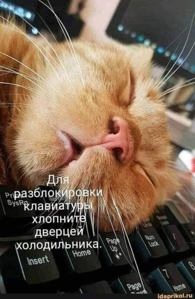 image.thumb.png.c639dfd46017e90e78626c4d8f7044ee.png
