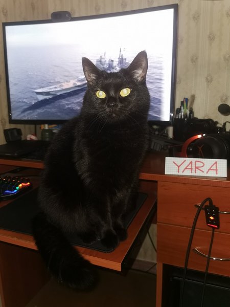 тори-вовш 2.jpg