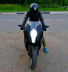 Rabbit_paw