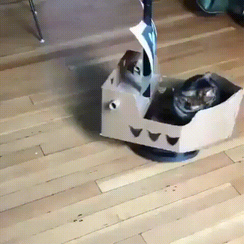 IMG_20201009_000704_826.gif.ae7e220a5801c2e66fcdf832d9608bdf.gif