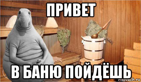 image.png.68dfa710c9a54d81ece802a1cb0fee8a.png