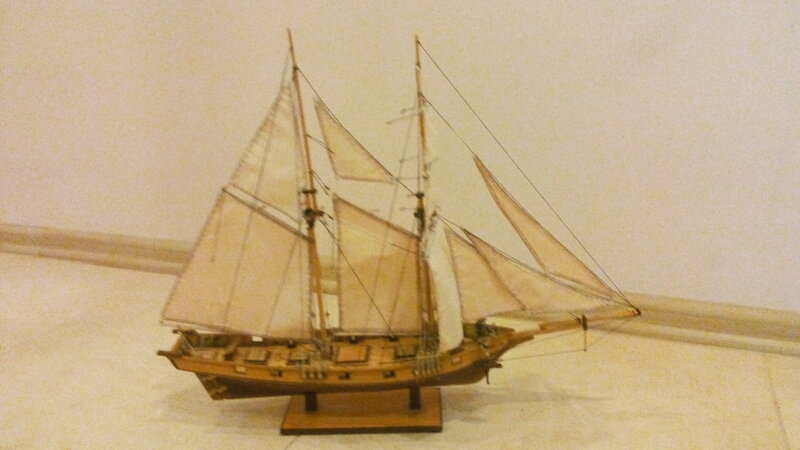 Albatros.jpg