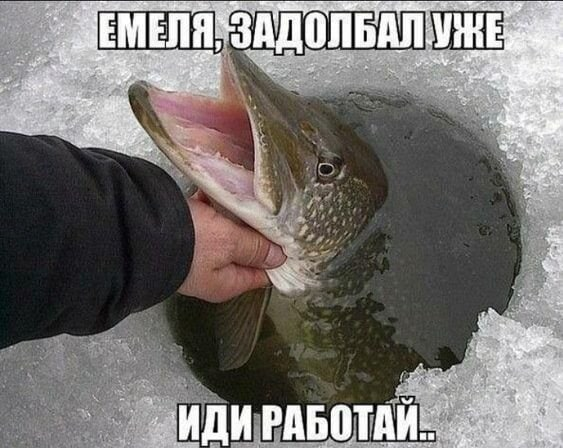 image.png.f228f33d91e042426397cd9a4187fffe.png