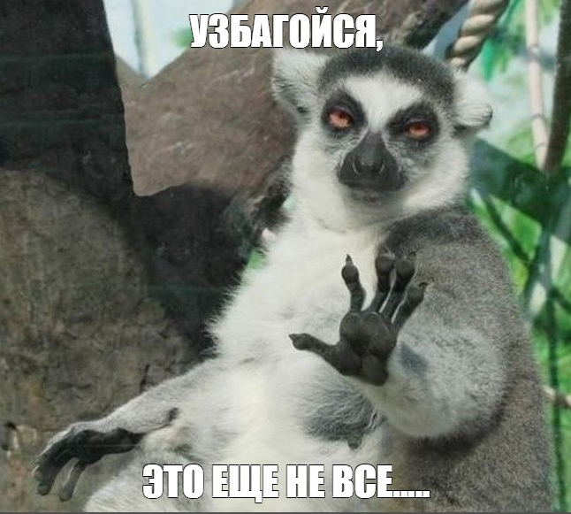 image.png.d355384011ca15d9a6ea8c75ede9b549.png