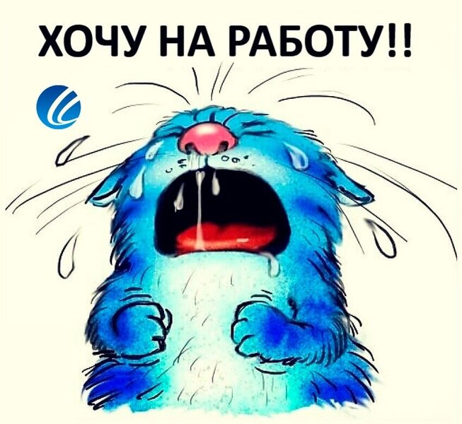 sHXaDg94EL4.thumb.jpg.057cf59c6d304953ea3d2b548f5446db.jpg