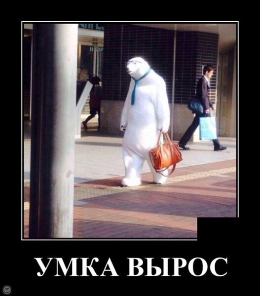 f_153429.thumb.jpg.4f227596bfcbd7f5011cf54b213bbf6d.jpg
