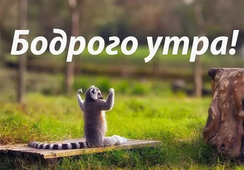 image.thumb.png.85fc3bd5e2aa7d3d6ee43b5f8e9218e4.png