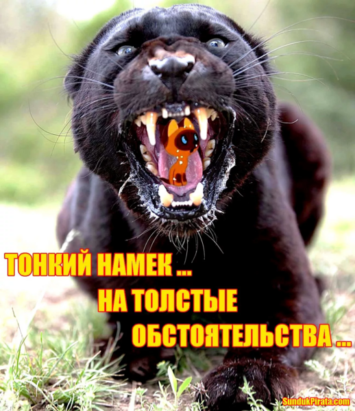 wshv5dwa.thumb.png.dd227adb634a067d73897fa22e27083b.png