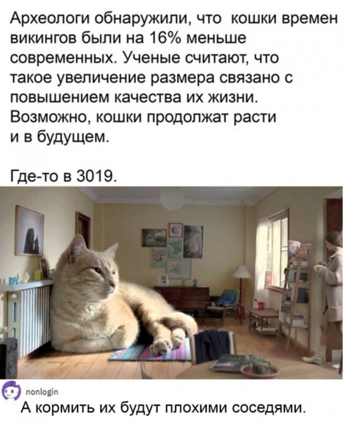 image.thumb.png.c78460889be174ff7a1f2a005002abd6.png